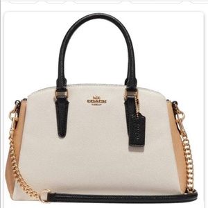 (New)Coach carryall sage in color block satchel